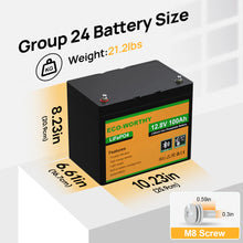 ECO-WORTHY LiFePO4 12V 100Ah Battery
