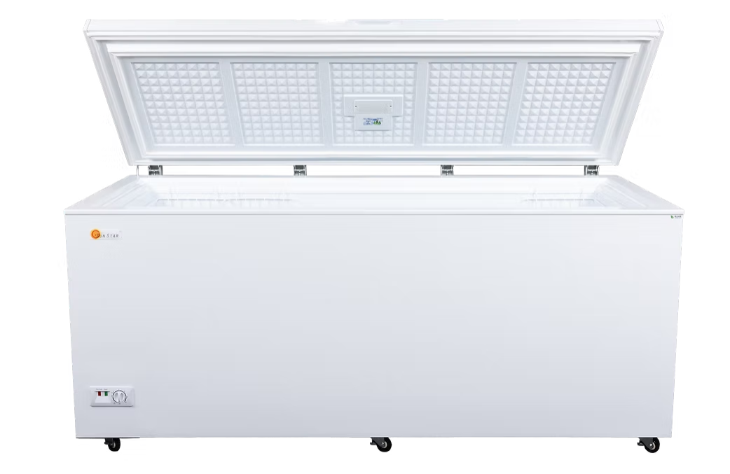 SunStar® Solar / DC 21.5 cu ft. Chest Freezer