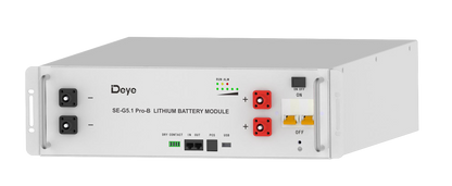 Deye 48V 100AH Rack Battery