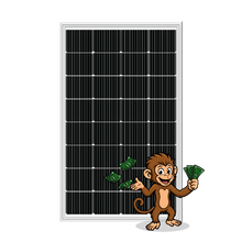 Rlux 200W Solar Panel