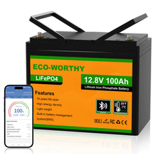 ECO-WORTHY LiFePO4 12V 100Ah Battery